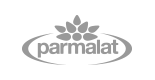 продвижение сайта Parmalat