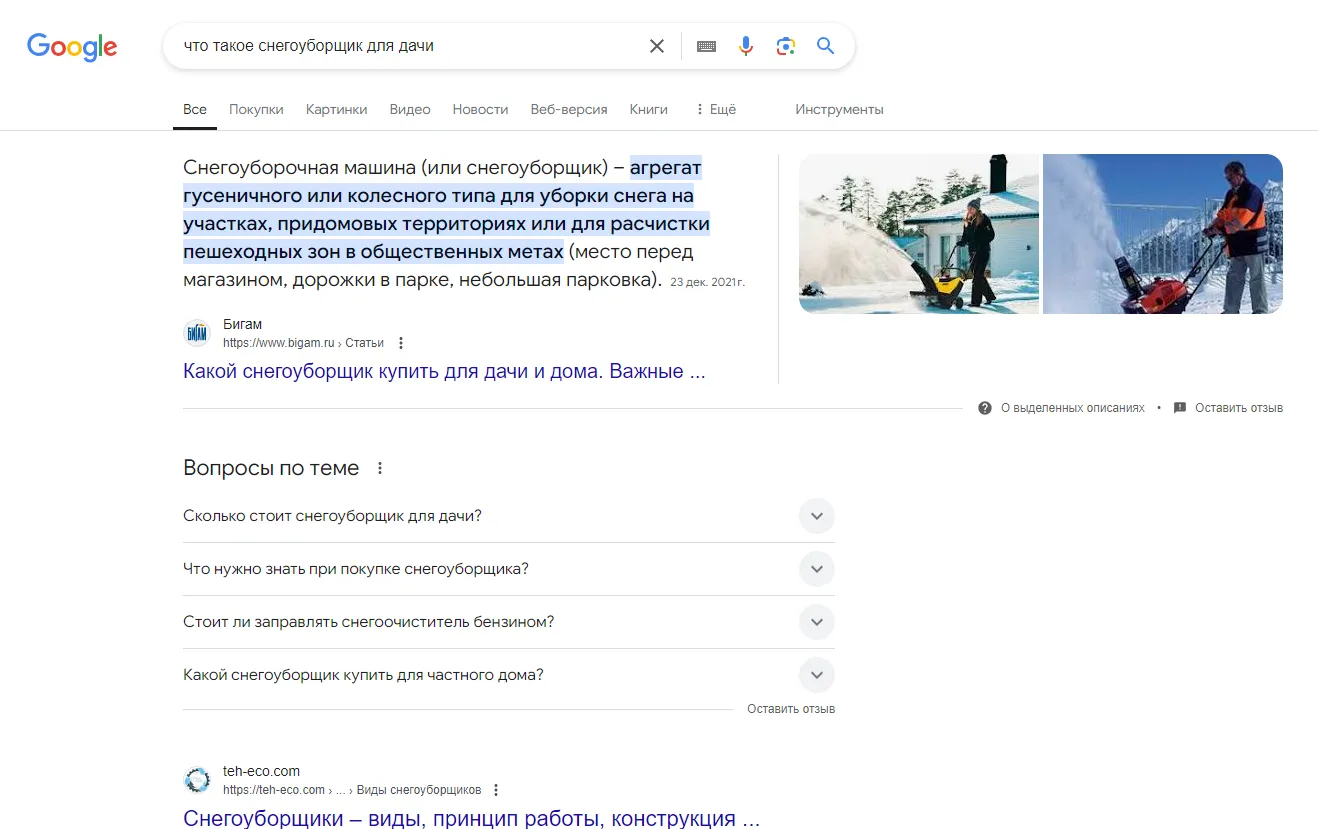 Пример выдачи Google