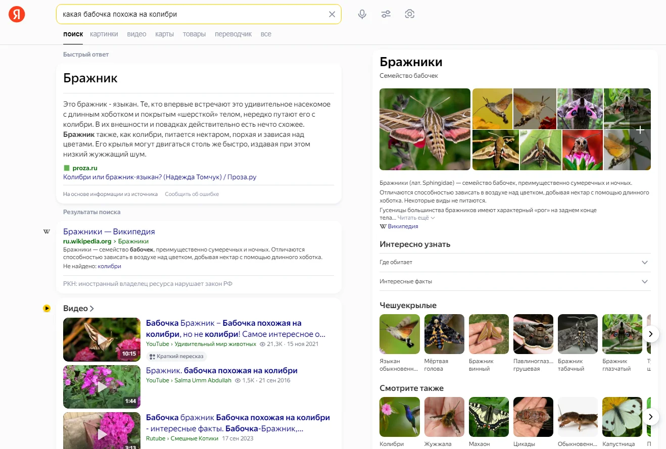 Выдача на вопрос про бабочку