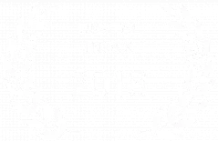 2018 Digital Index SEO