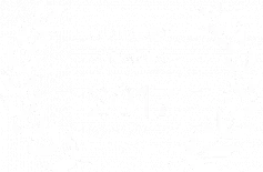 2017 ADINDEX AWARDS SEO