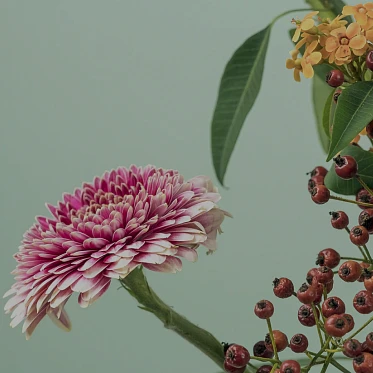 Картинка кейса МОСЦВЕТТОРГ