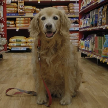 Картинка кейса ИНТЕРНЕТ-МАГАЗИН ЗООТОВАРОВ